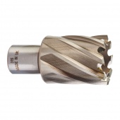 Кольцевая фреза D31*30мм (4932343287)